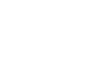 Nakanishi Dental Lab Logo